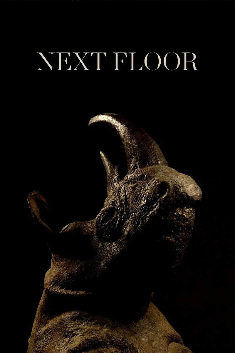 Affiche du film : Next Floor