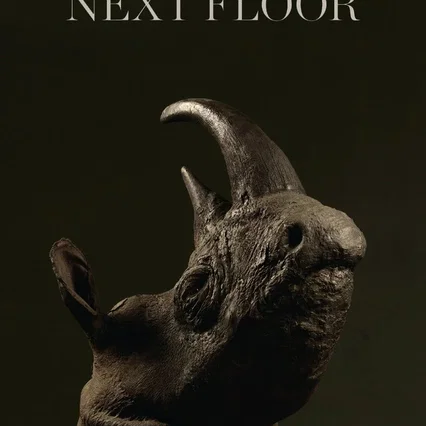 Miniature photo du film : Next Floor