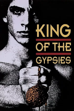 Affiche du film : Le roi des gitans