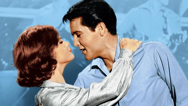 Photo du film : La strip teaseuse effarouchee