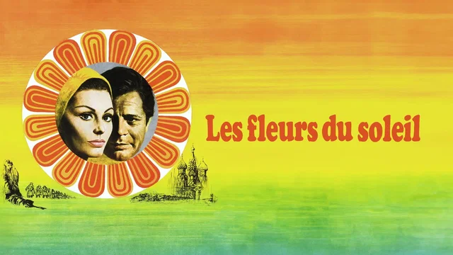 Photo 2 du film : Les fleurs du soleil