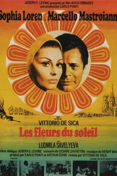 Affiche du film Les fleurs du soleil
