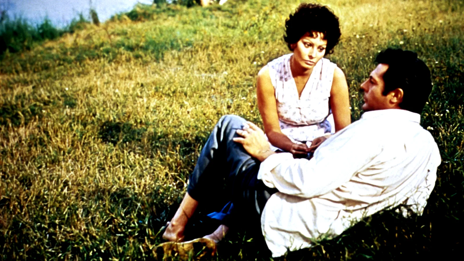 Photo 6 du film : Les fleurs du soleil