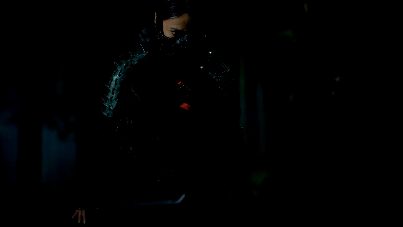 Photo 4 du film : The Shadow Strays