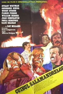 Affiche du film Les aventuriers de l'or noir