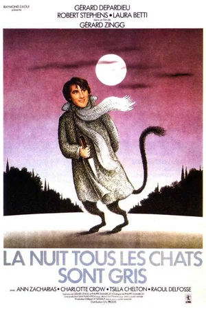 Affiche du film : La nuit, tous les chats sont gris