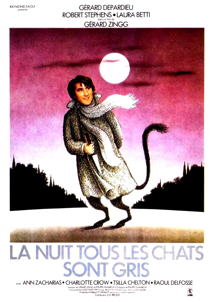 Photo du film : La nuit, tous les chats sont gris