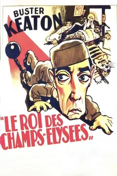 Affiche du film Le roi des champs elysees