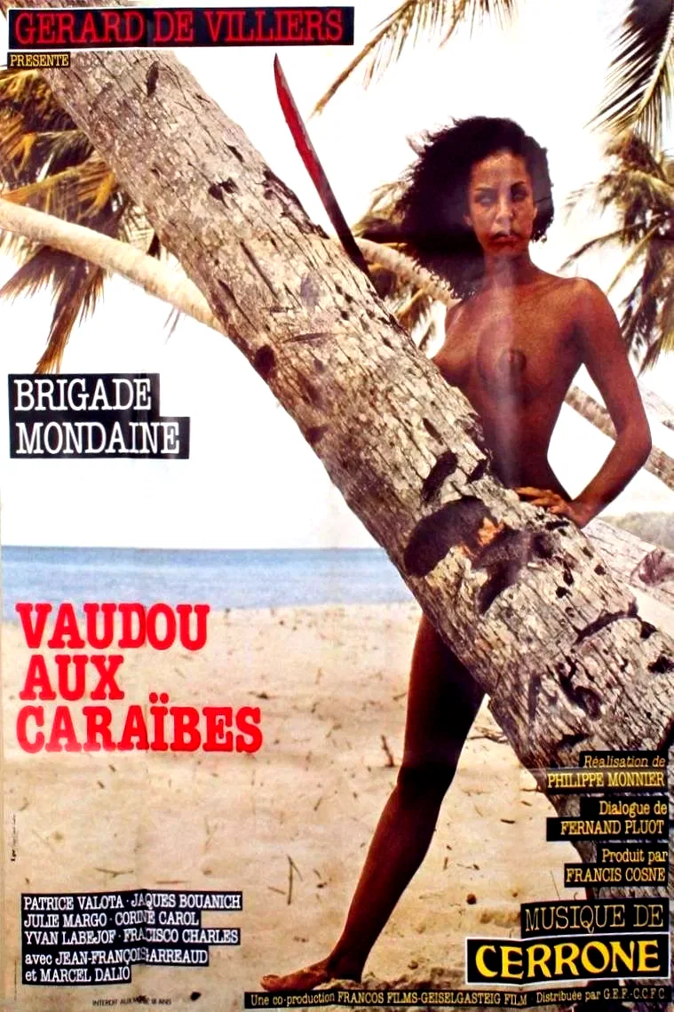Affiche du film : Brigade mondaine vaudou aux caraibes