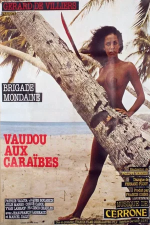 Affiche du film : Brigade mondaine vaudou aux caraibes