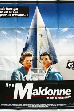 Affiche du film Il y a maldonne
