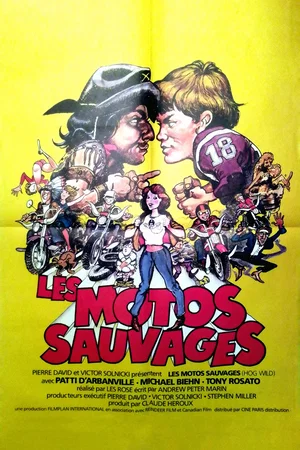 Affiche du film : Les motos sauvages