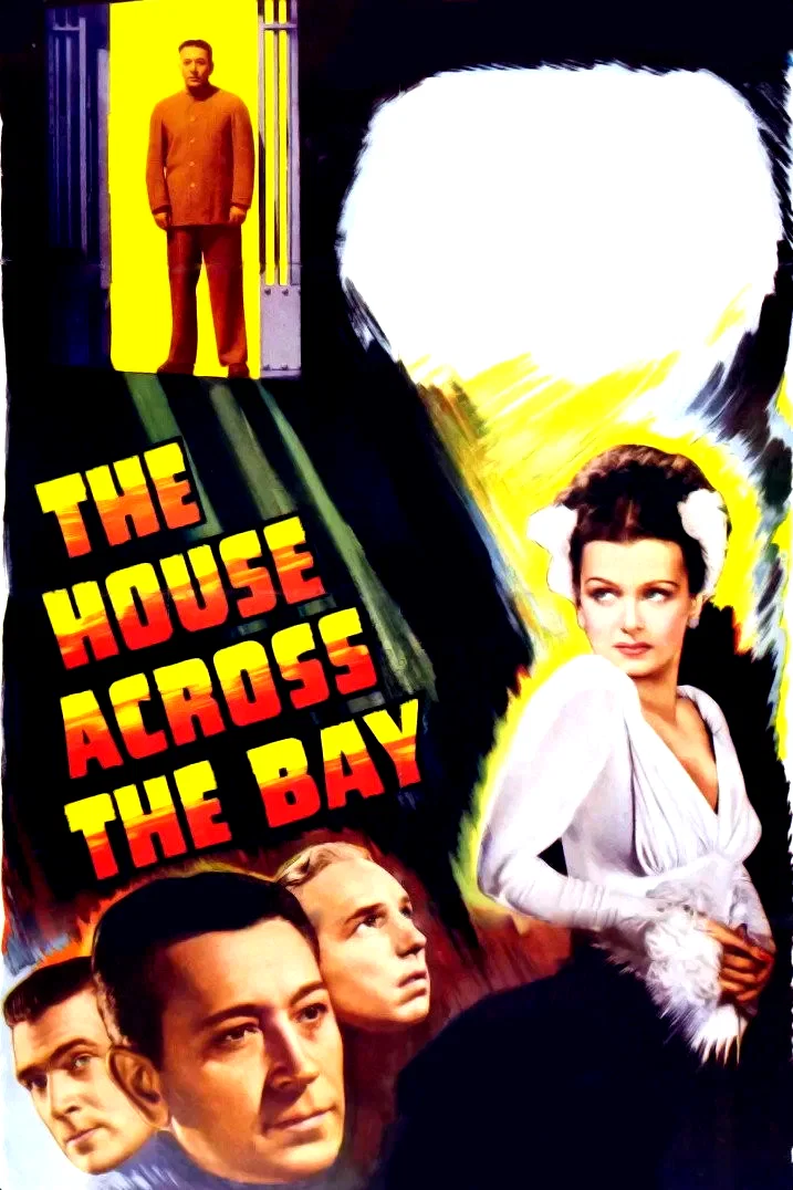 Affiche du film : Destins dans la nuit