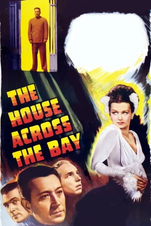 Affiche du film : Destins dans la nuit