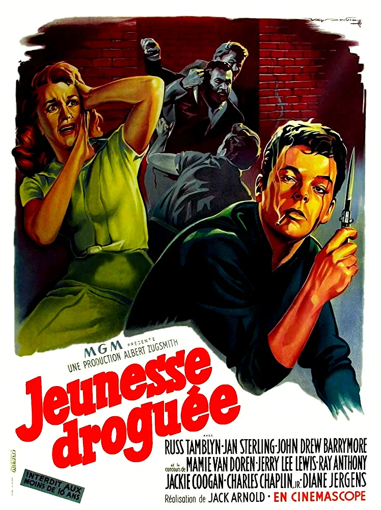 Affiche du film : Jeunesse droguee