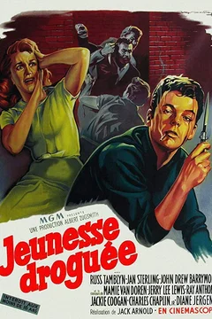 Affiche du film Jeunesse droguee