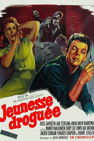 Affiche du film : Jeunesse droguee