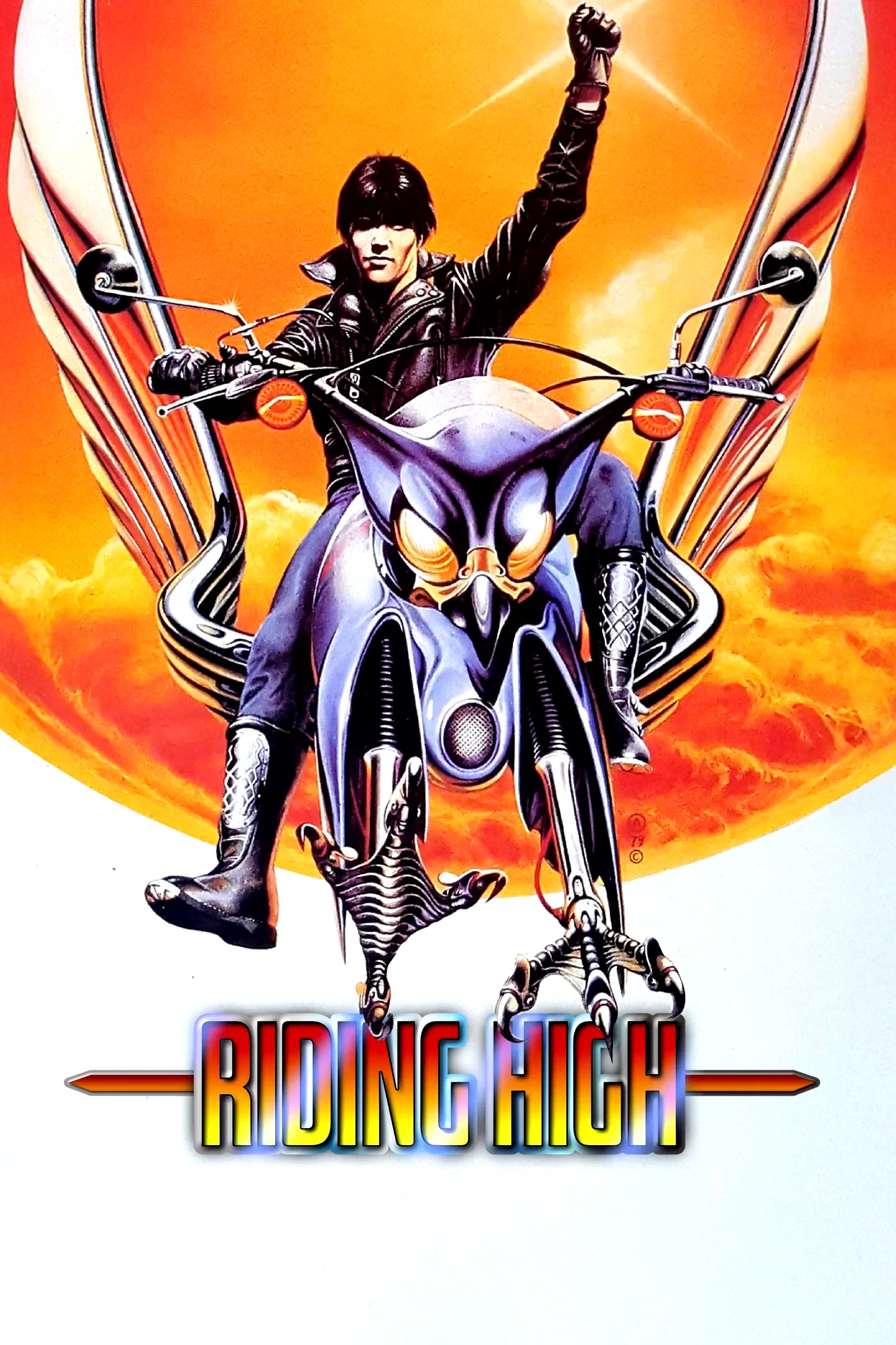 Affiche du film : Riding High