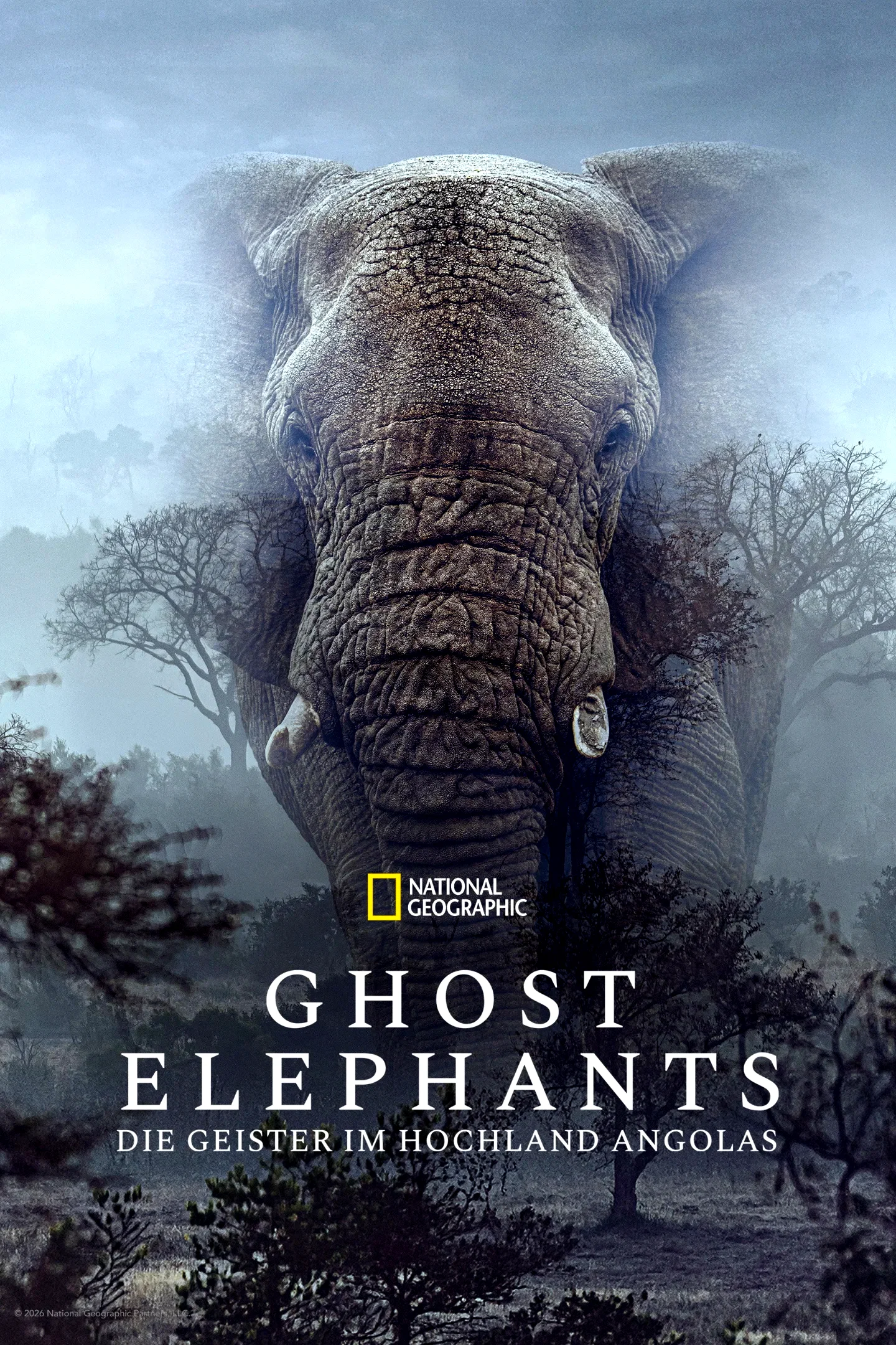 Affiche du film : Ghost Elephants