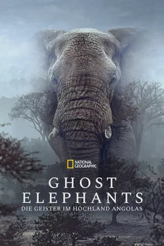 Affiche du film = Ghost Elephants