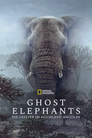 Affiche du film : Ghost Elephants
