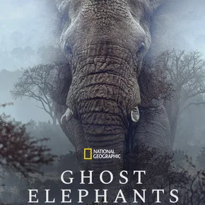 Photo du film : Ghost Elephants