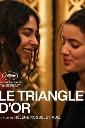 Affiche du film : Le Triangle d'or