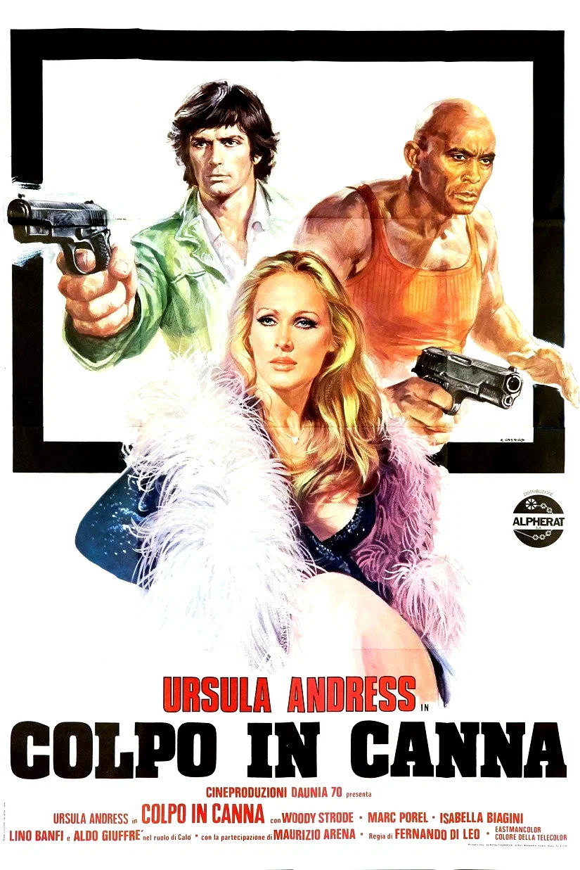 Affiche du film : Ursula l'anti gang