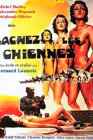 Affiche du film : Lâchez les chiennes
