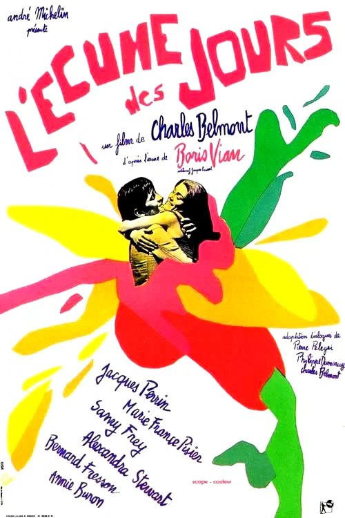 Photo 2 du film : L'ecume des jours