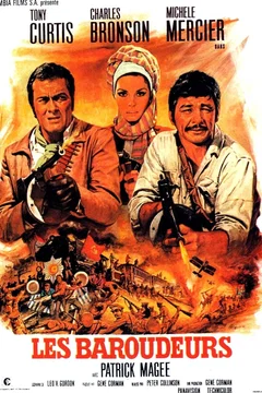 Affiche du film Les baroudeurs