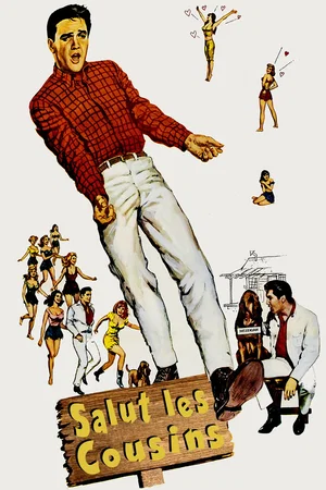 Affiche du film : Salut les cousins