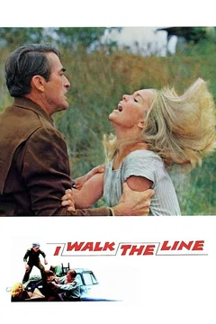 Affiche du film Le pays de la violence