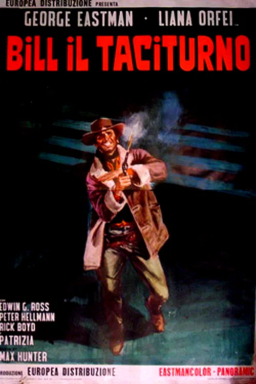 Affiche du film : Django le taciturne