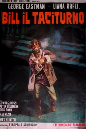 Affiche du film : Django le taciturne