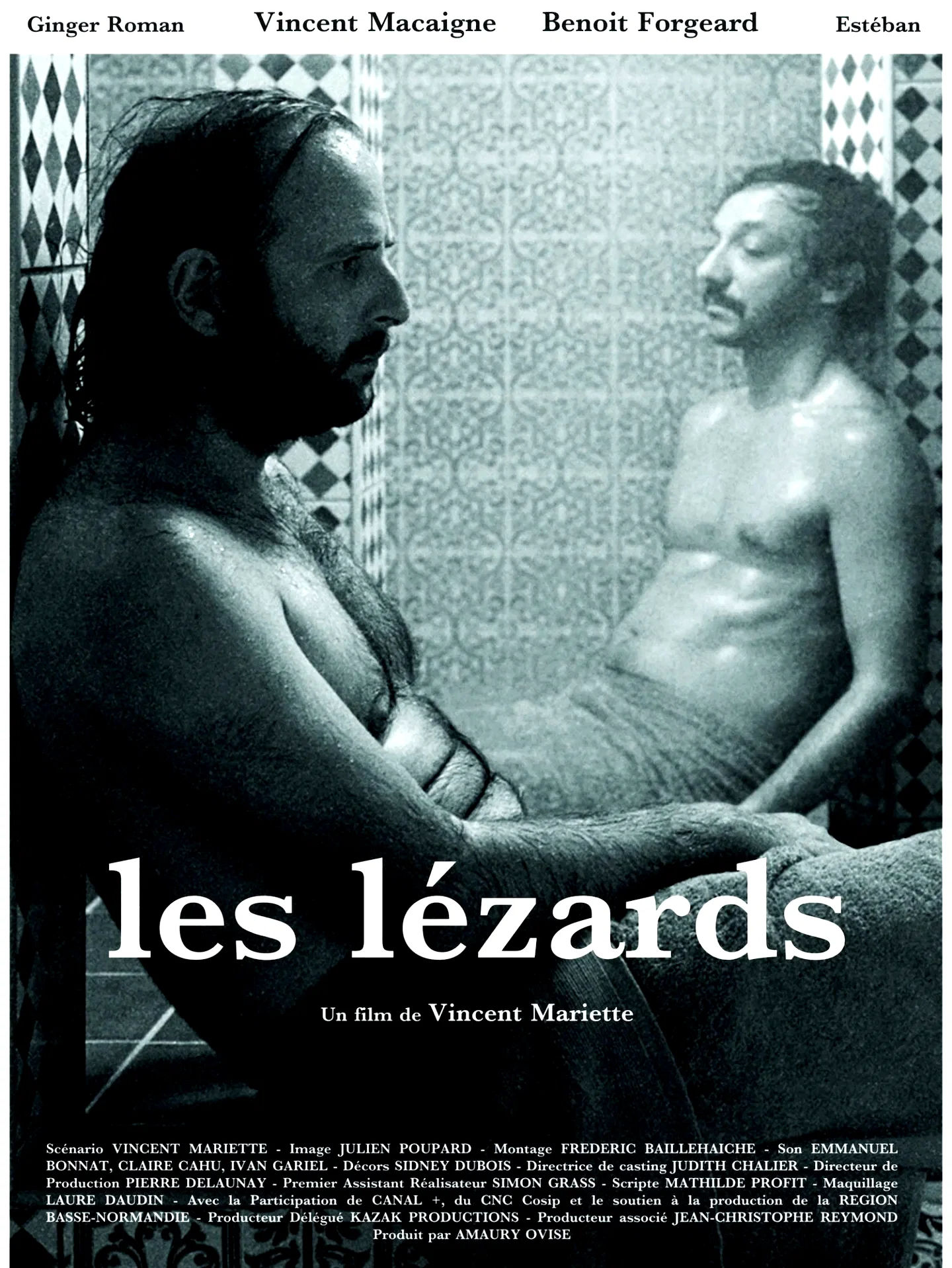 Affiche du film : Les Lézards