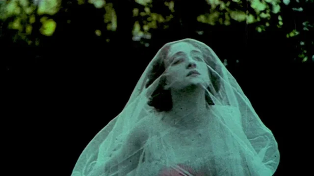 Photo 4 du film : Italia, le feu, la cendre