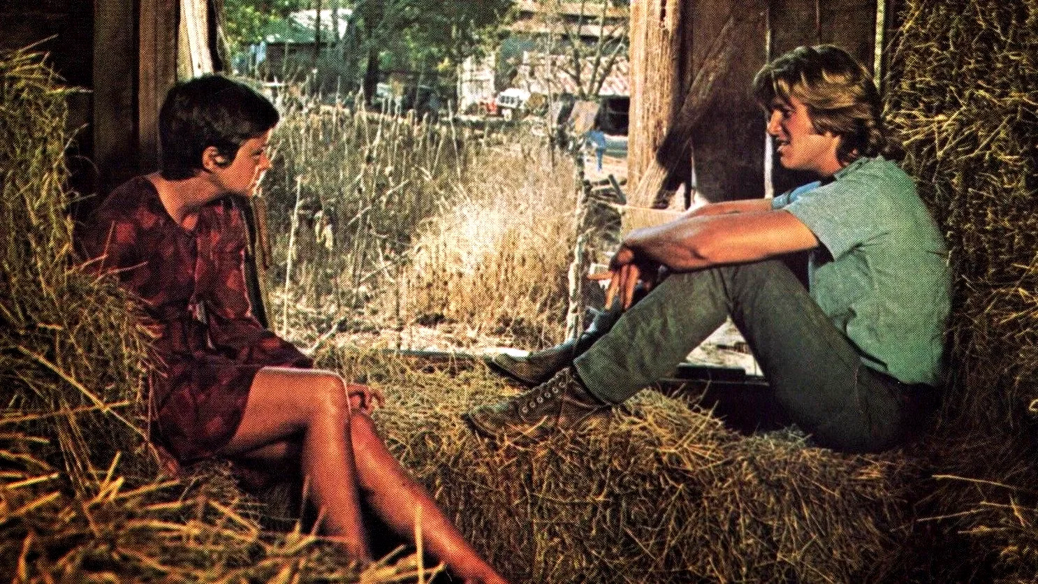 Photo du film : Une fille nommee lolly madonna