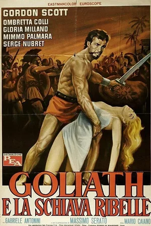 Affiche du film : Goliath et l'hercule noir
