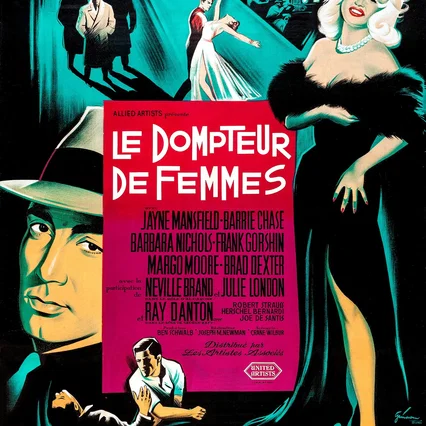 Miniature photo du film : Le dompteur de femmes