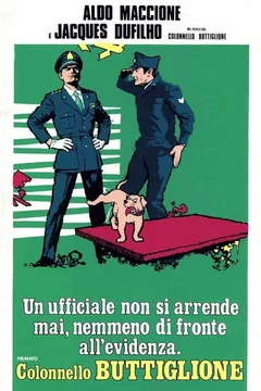 Affiche du film Si si mon colonel !