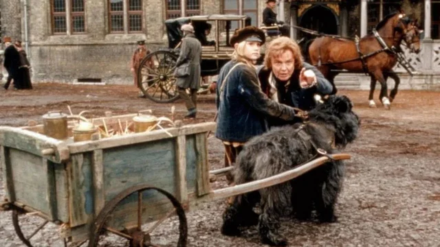 Photo 3 du film : Nello et le chien des Flandres