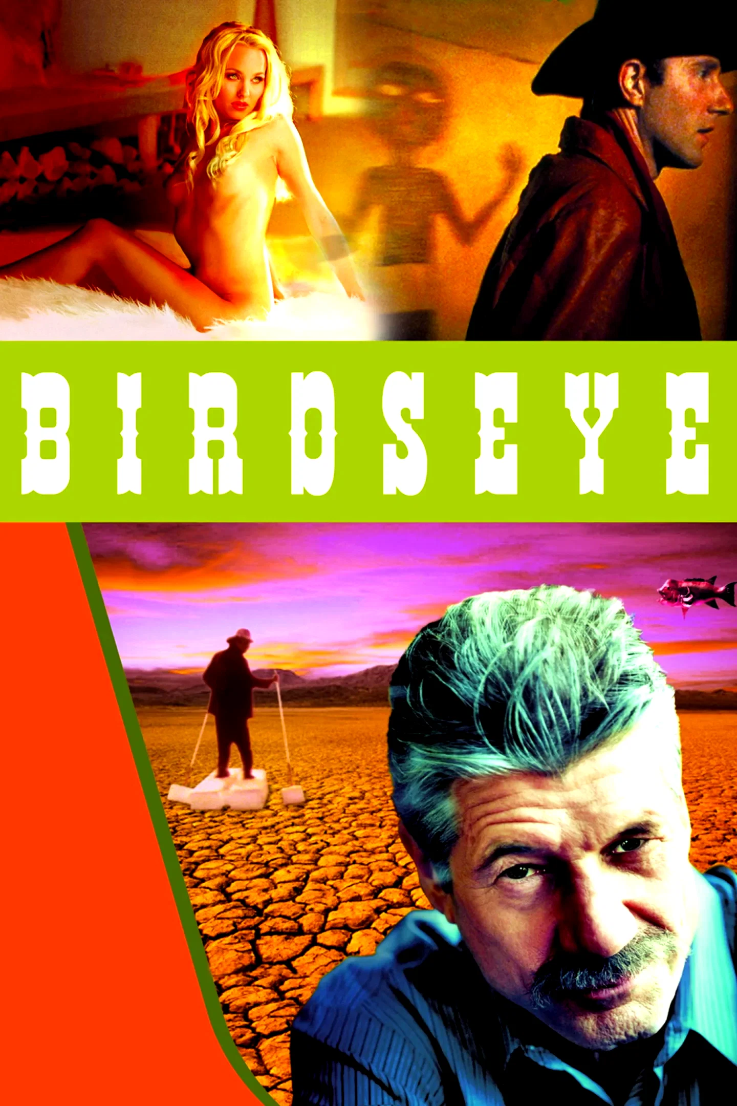Affiche du film : Birdseye