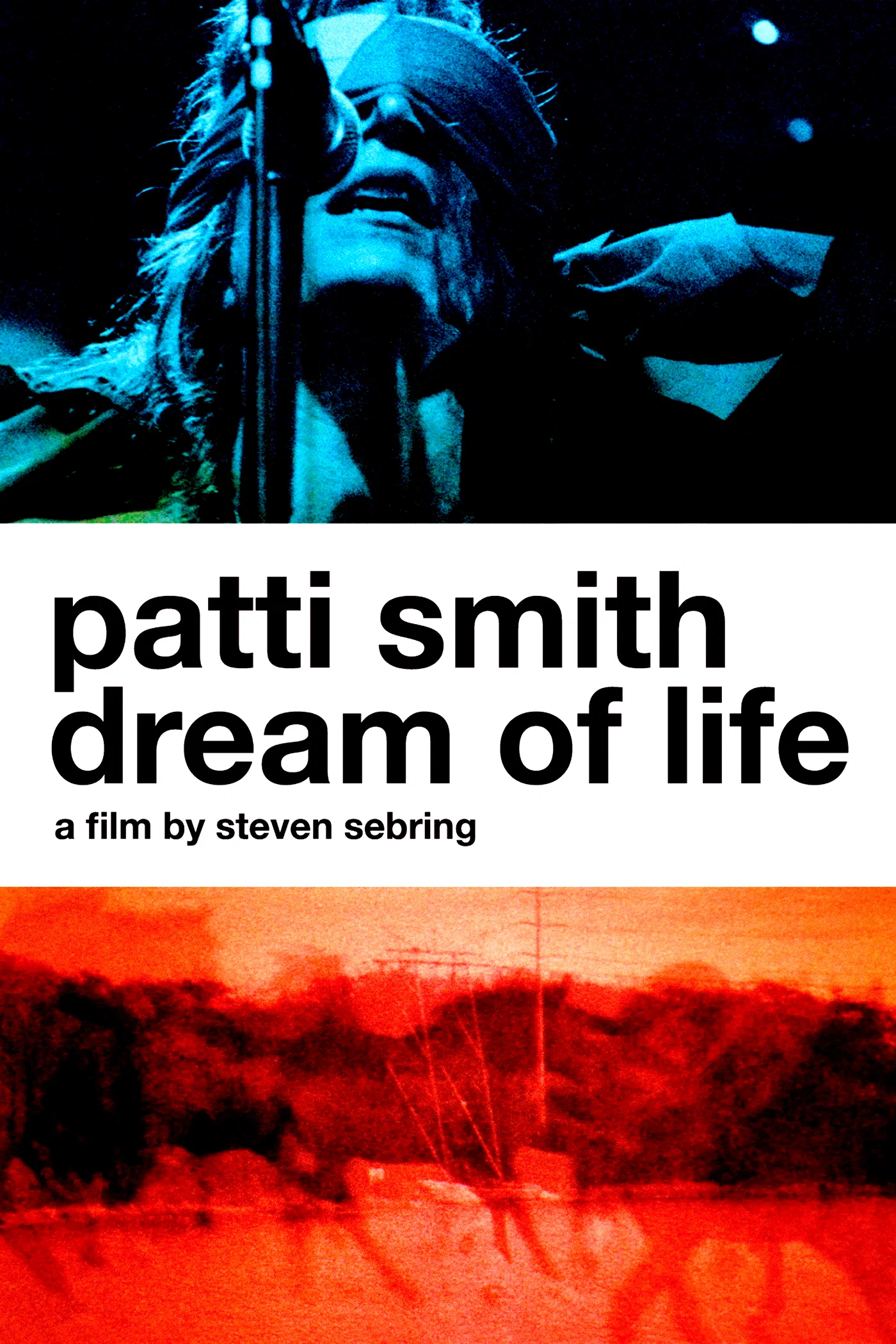 Affiche du film : Patti Smith : Dream of Life