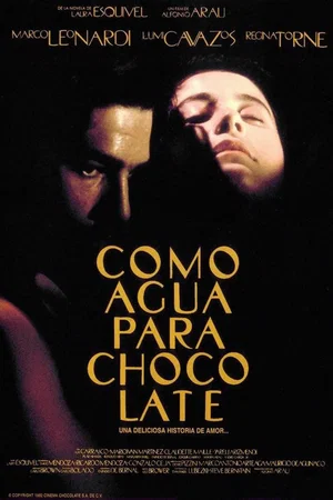 Affiche du film : Les Épices de la passion