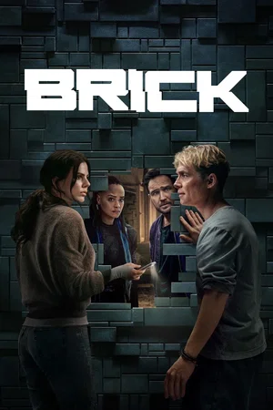 Affiche du film : Brick