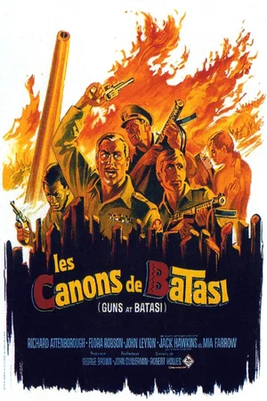 Affiche du film : Les canons de batasi