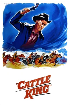 Affiche du film Les ranchers du wyoming