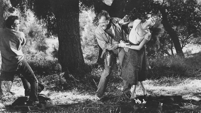Photo du film : La chevauchee du retour