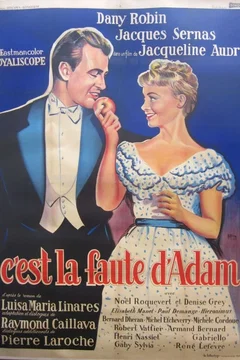Affiche du film C'est la faute d'adam